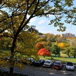 Fall color on the Lawrence campus of the University of Kansas.